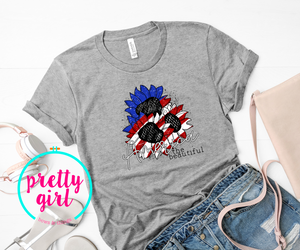 America the Beautiful ADULT SHIRT